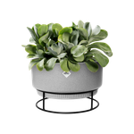 b.for studio bowl 30cm living concrete